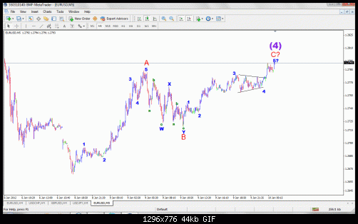 eur wave count.gif‏
