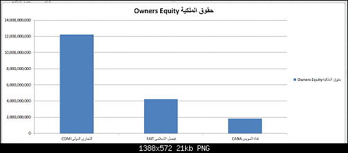     

:	Owners Equity.png
:	81
:	21.3 
:	452097