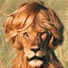 lion-hairstyle.GIF‏