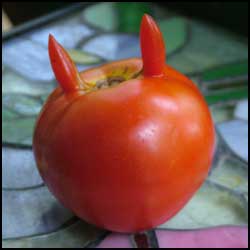 tomatodiablo-deanr.jpg‏