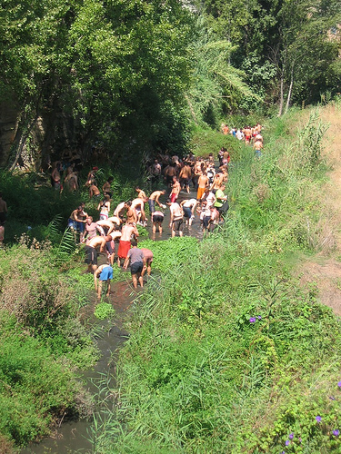 tomatina2006-a7.jpg‏