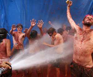 tomatina2006-g.jpg‏