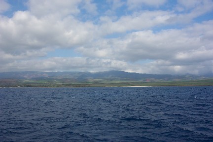 Hawai'i%20115.jpg‏