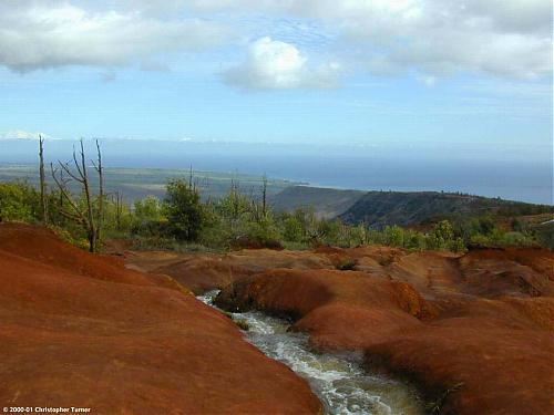 down_from_waimea.jpg‏