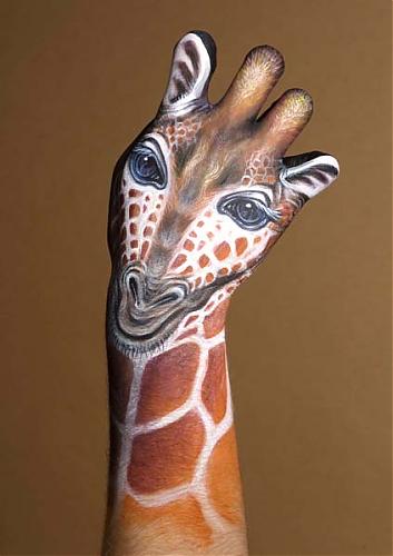 giraffa.jpg‏