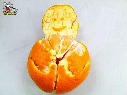 4966894_tangerine_art_002.jpg‏