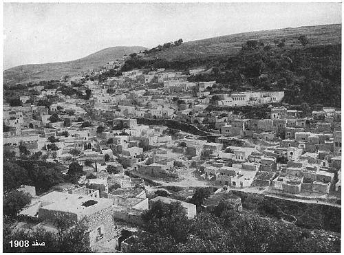 Safed1908.jpg‏