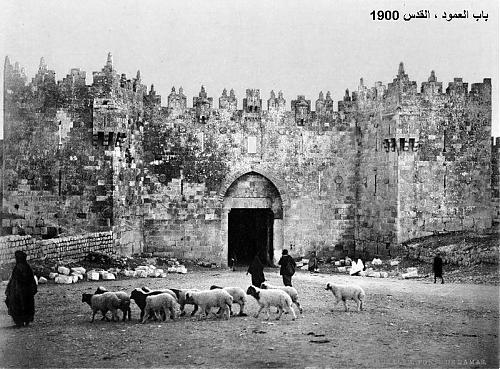 Jerusalem_Damaskustor_um_1900.jpg‏