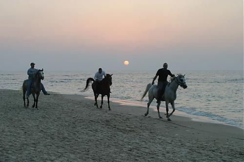 riders-in-sunset.jpg‏