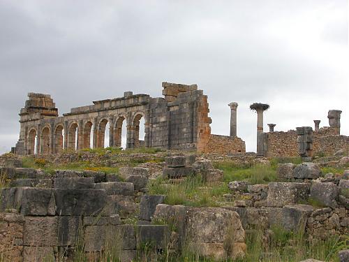 volubilis.jpg‏