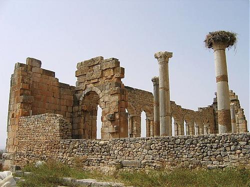 volubilis_v.jpg‏