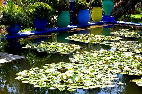 jardin_majorelle_021.jpg‏