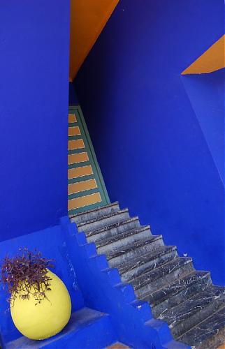 jardin_majorelle_029.jpg‏