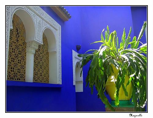 majorelle_bleu.jpg‏