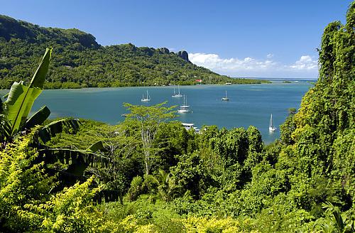 pohnpei0501014eote.jpg‏