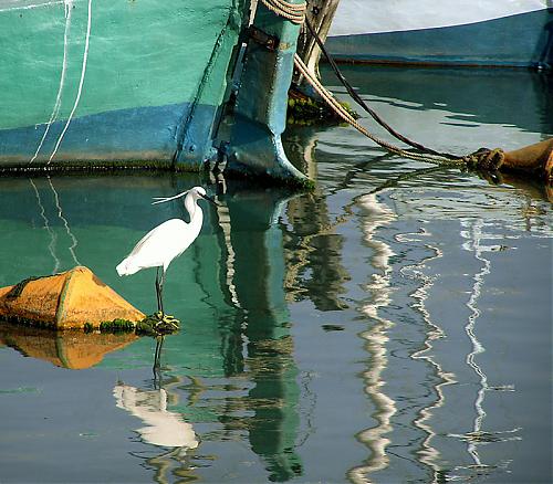 reflections_in_the_harbour.jpg‏