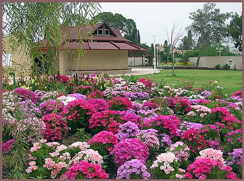 nahariya-botanical-garden.jpg‏