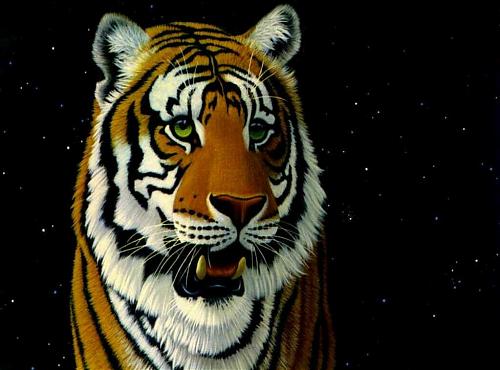 Space%20Tiger.jpg‏