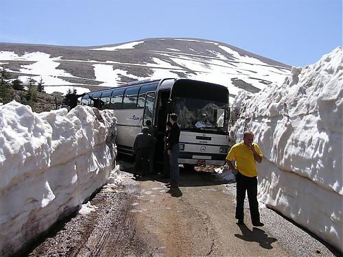 cedars7.jpg‏