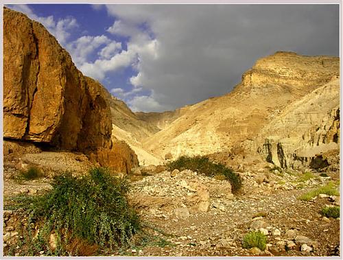 rocky_valley_dead_sea.jpg‏