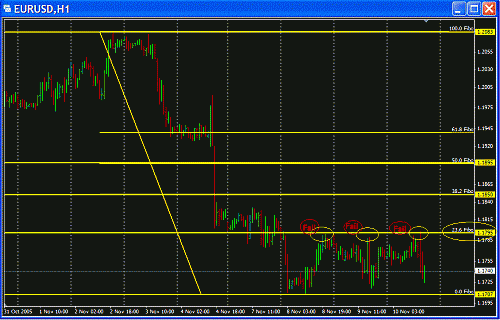 Eur Fibo.GIF‏