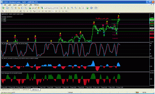 macd stochastic.gif‏