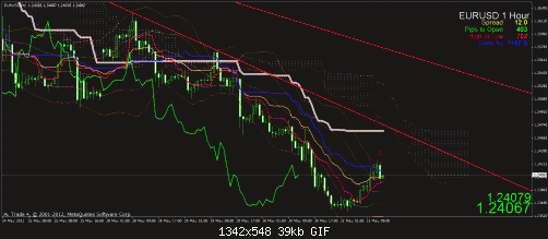 eur 2.gif‏