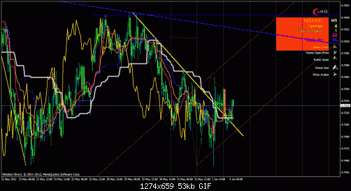 nzdusd.gif‏