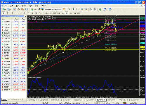 eurjpy2.gif‏